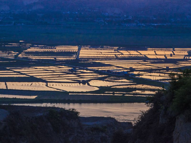 Yellow River Wetland Scenic Area Photos Photos Of Heyang Attractions