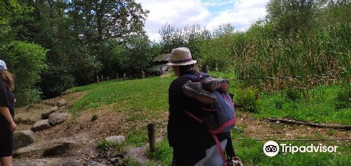 La Chapelle Aux Bois