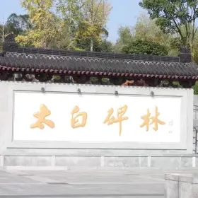 Taibai Forest of Steles