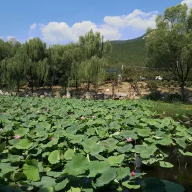 Jin Mountain Park