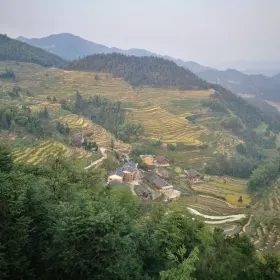 장석제전
