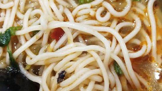 Heshifuregan Noodles (zhengsijie)
