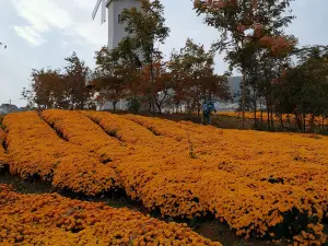 Hequan Farm