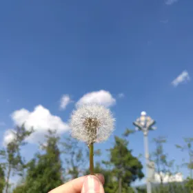 蛇山公園