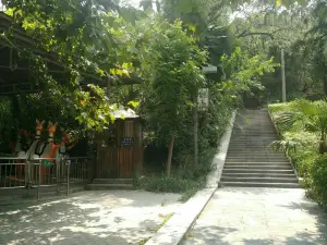 Nanshan Children's Park （North Gate）
