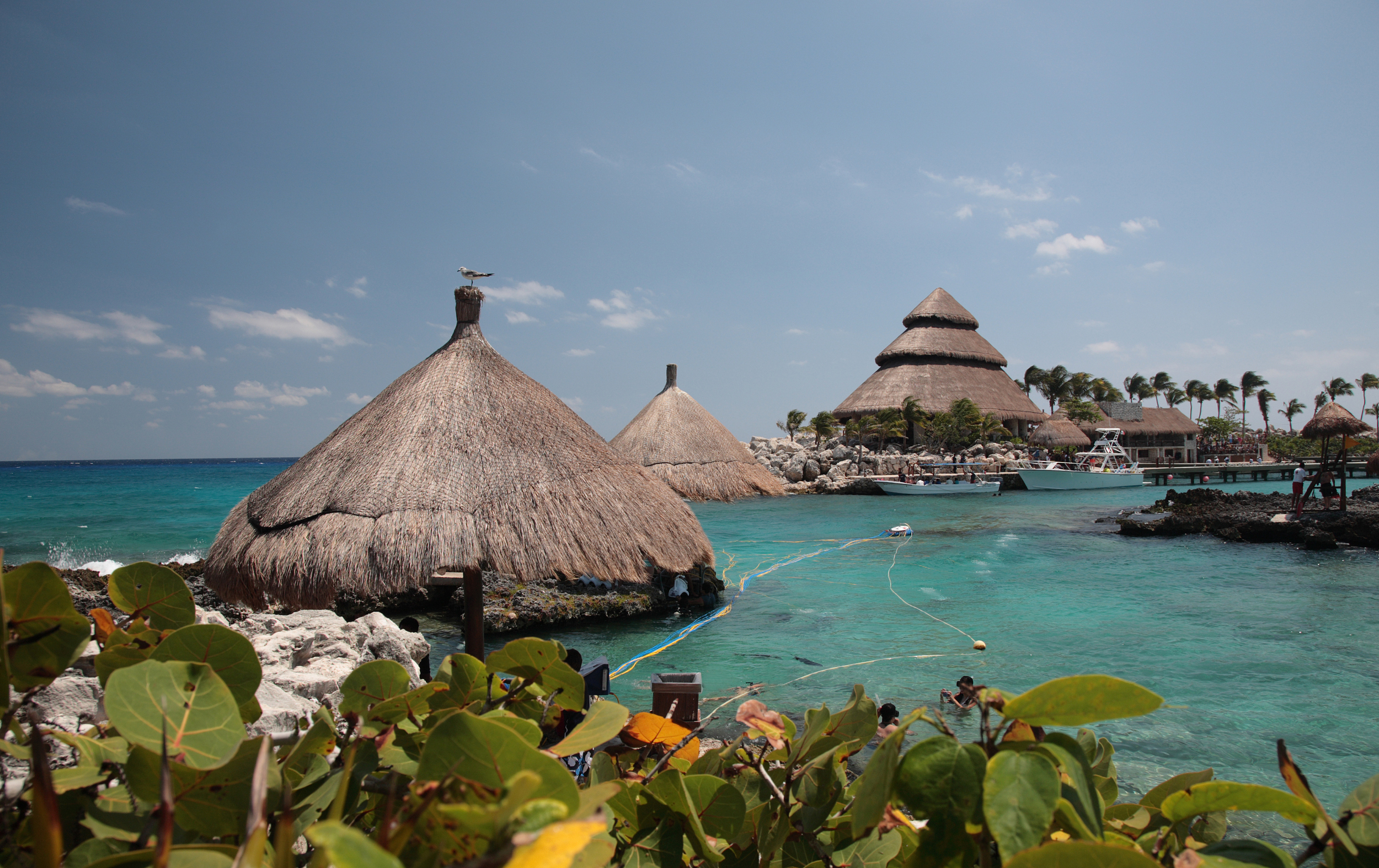 Latest travel itineraries for Cozumel Island in May (updated in 2023),  Cozumel Island reviews, Cozumel Island address and opening hours, popular  attractions, hotels, and restaurants near Cozumel Island 