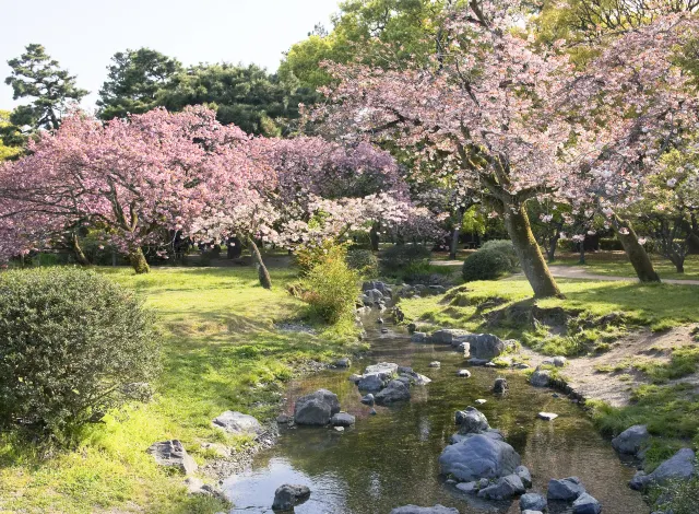 京都府 けいはんな記念公園 評判 案内 トリップドットコム