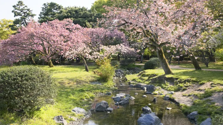 精華 けいはんな記念公園 評判 案内 トリップドットコム