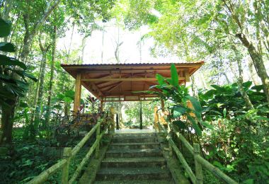 Xinglong Tropical Botanical Garden Popular Attractions Photos