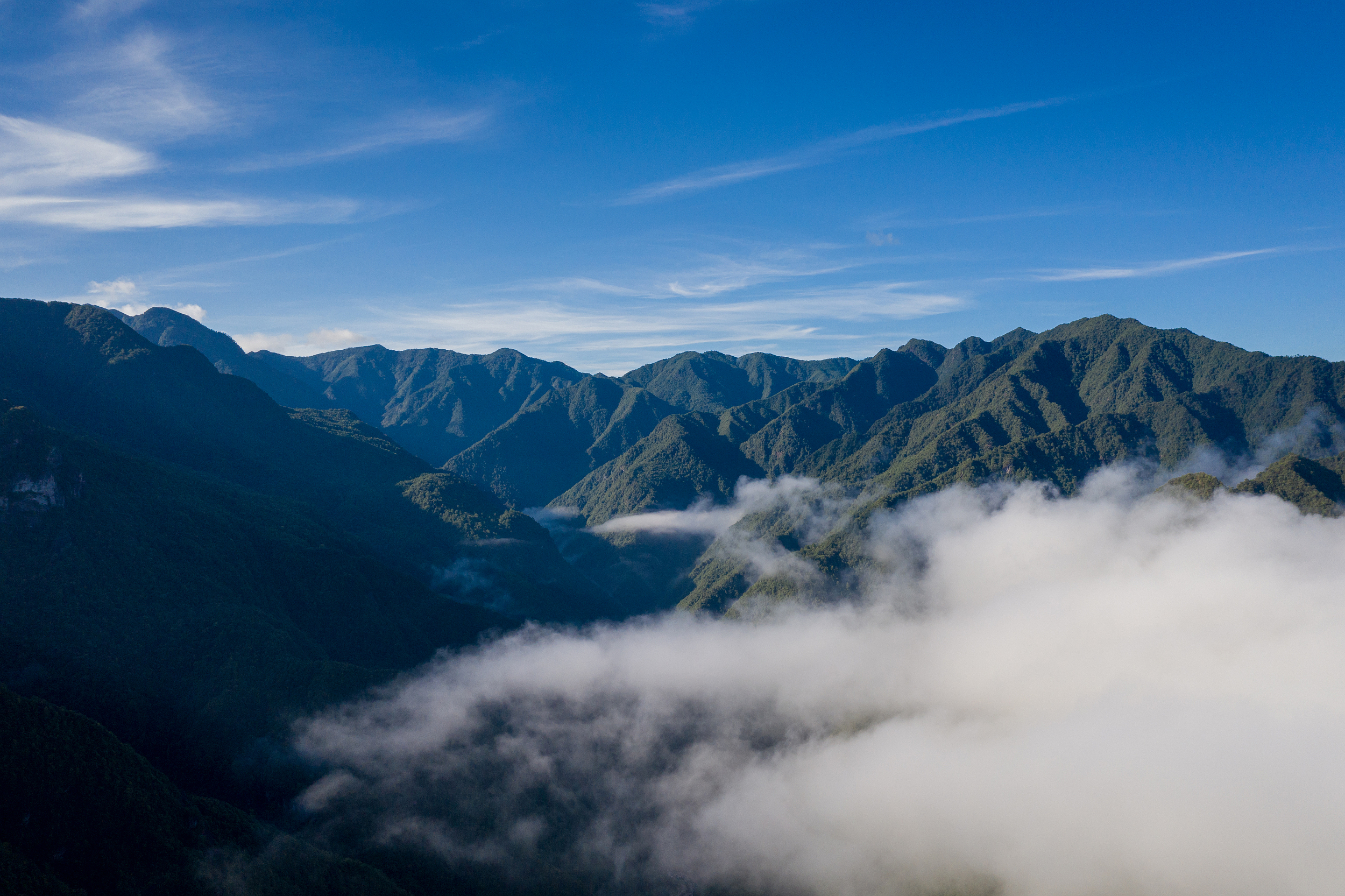 九龍山自然保護區景點評價 九龍山自然保護區門票 九龍山自然保護區優惠 九龍山自然保護區交通 地址 開放時間 九龍山自然保護區附近景點 酒店及美食 Trip Com