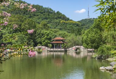 Zhi Mountain Park Popular Attractions Photos