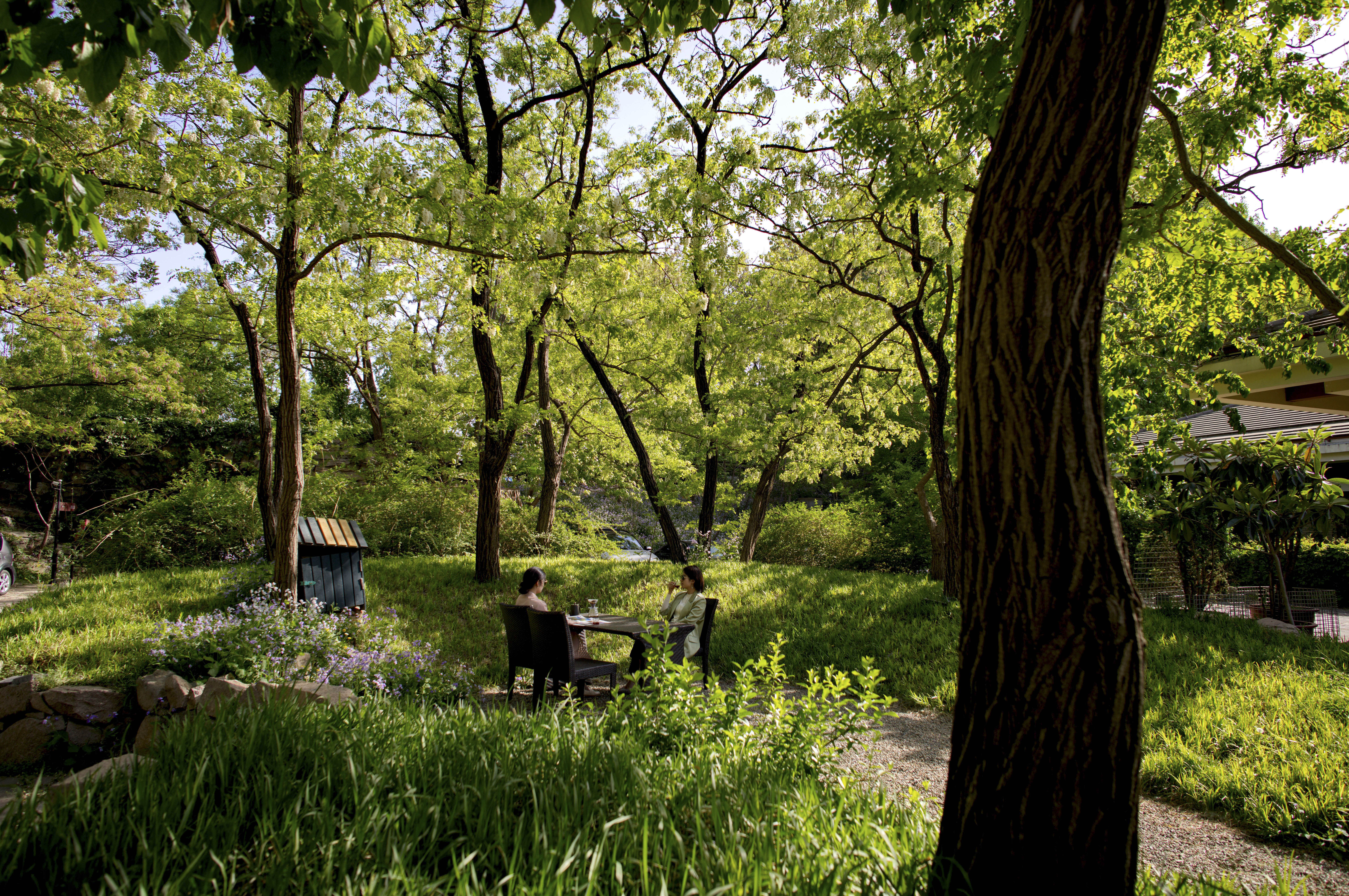 北京在之禾度假酒店 孔雀花園餐廳必吃推薦 北京北京在之禾度假酒店 孔雀花園餐廳 Trip Com 北京在之禾度假酒店 孔雀花園餐廳必吃推薦 北京北京在之禾度假酒店 孔雀花園餐廳 Trip Com