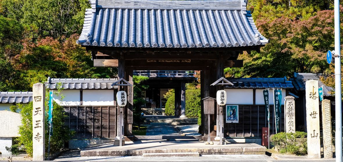 Shadow 公園  Kyoto-shi Kyoto