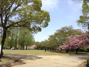 Omiya Daini Park