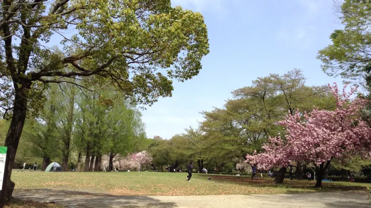 大宮第二公園景點評價 大宮第二公園門票 大宮第二公園優惠 大宮第二公園交通 地址 開放時間 大宮第二公園附近景點 酒店及美食 Trip Com