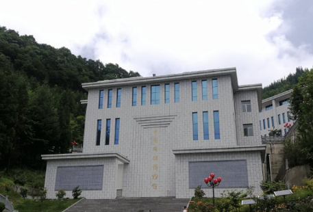 Zhongguolinkuang Museum
