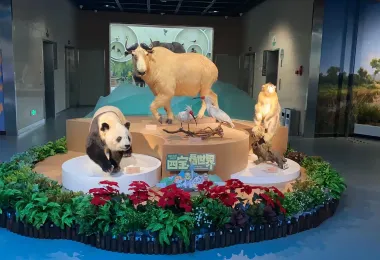 Shaanxi Nature Museum Popular Attractions Photos