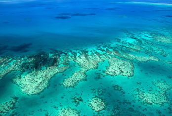 大堡礁潛水 熱門景點照片