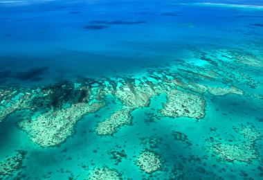 Great Barrier Reef Diving Popular Attractions Photos