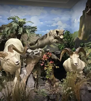 Pelestarian Seni dan Budaya, Kota Lubuk Pakam Tahun 2025