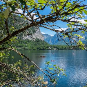 Upper Austria,Recommendations