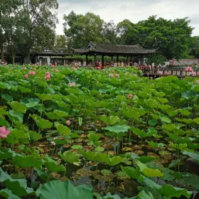 Wangcong Temple