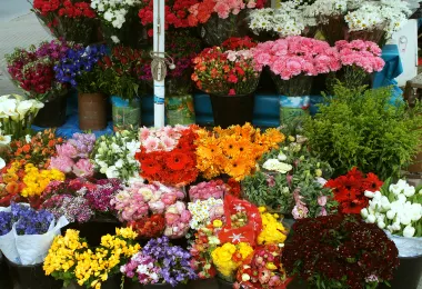 ตลาดประมูลดอกไม้อัลซเมียร์ รูปภาพAttractionsยอดนิยม