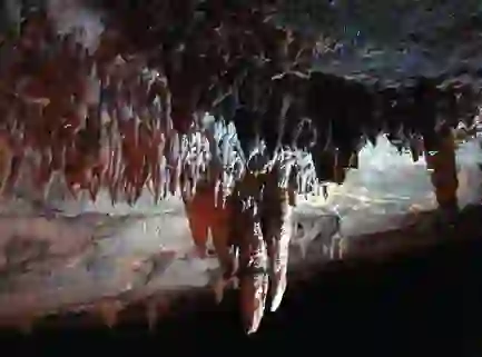 Trip.com