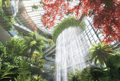 重慶光環購物公園室內植物園“沐光森林”