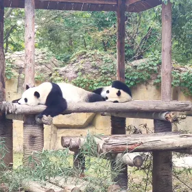 Luozhuang Zoo