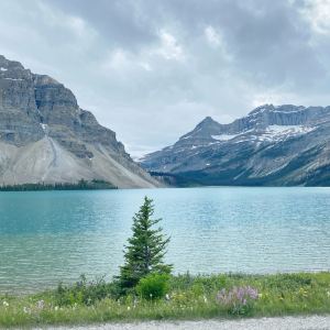 Banff National Park,Recommendations