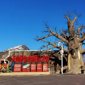 天山野生動物園