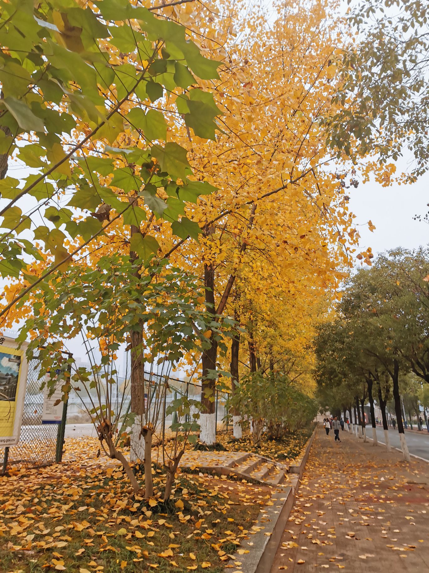 University of South China