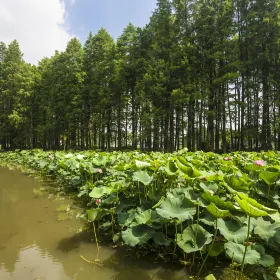 Wuxi Court of Ontstanding Persons