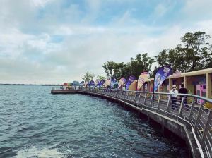 Shanghai,Recommendations
