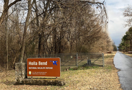 Holla Bend National Wildlife Refuge