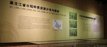 稻作博物館