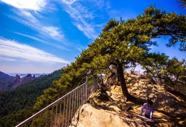 Lvshanguojia Forest Park Popular Attractions Photos