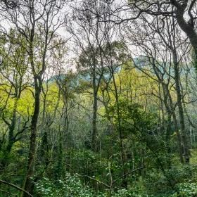 Maoershan National Forest Park