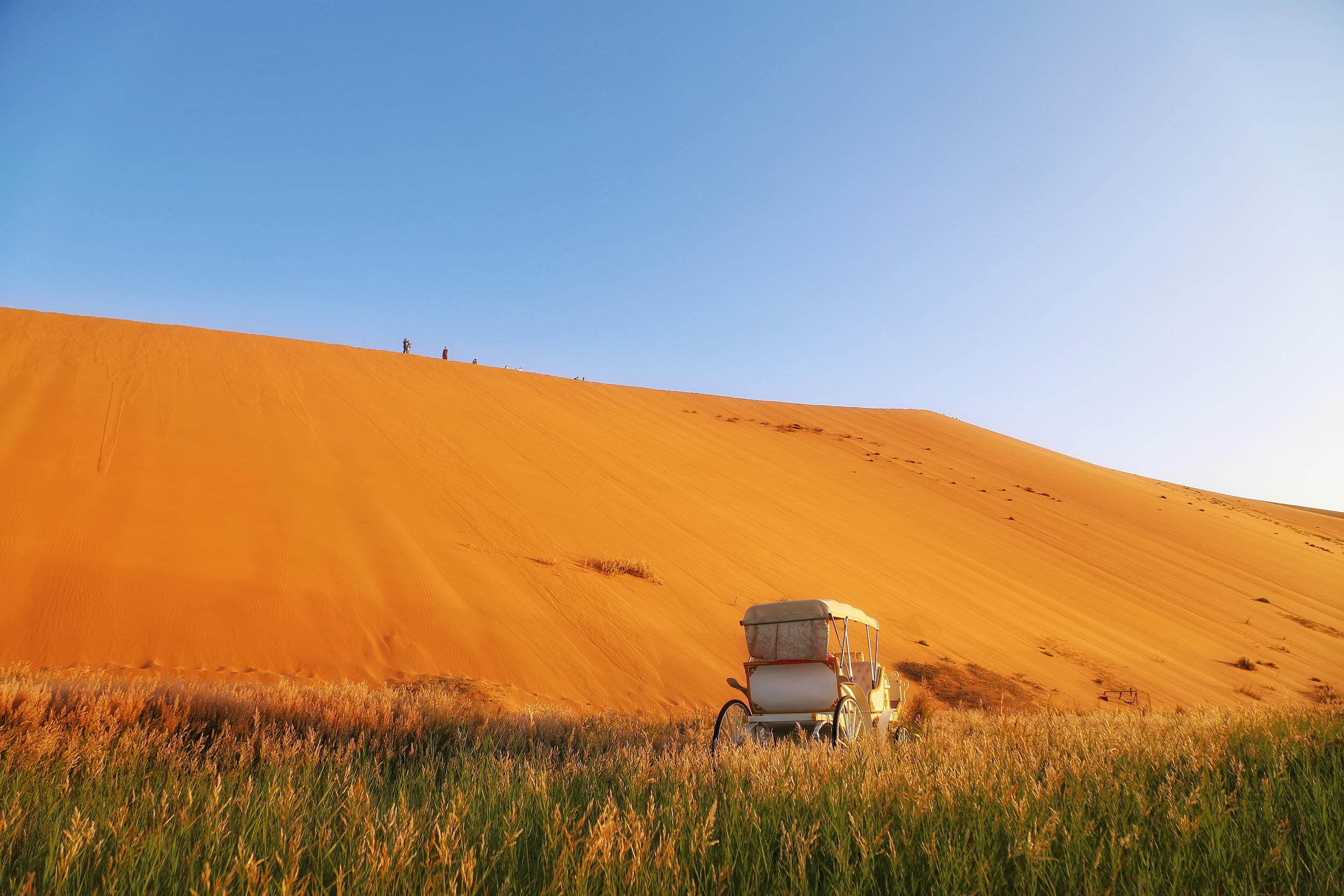阿拉善沙漠世界地質公園のレビュー 阿拉善沙漠世界地質公園のチケット 阿拉善沙漠世界地質公園の割引 阿拉善沙漠世界地質公園の交通機関 所在地 営業時間 阿拉善沙漠世界地質公園周辺の観光スポット ホテル グルメ Trip Com