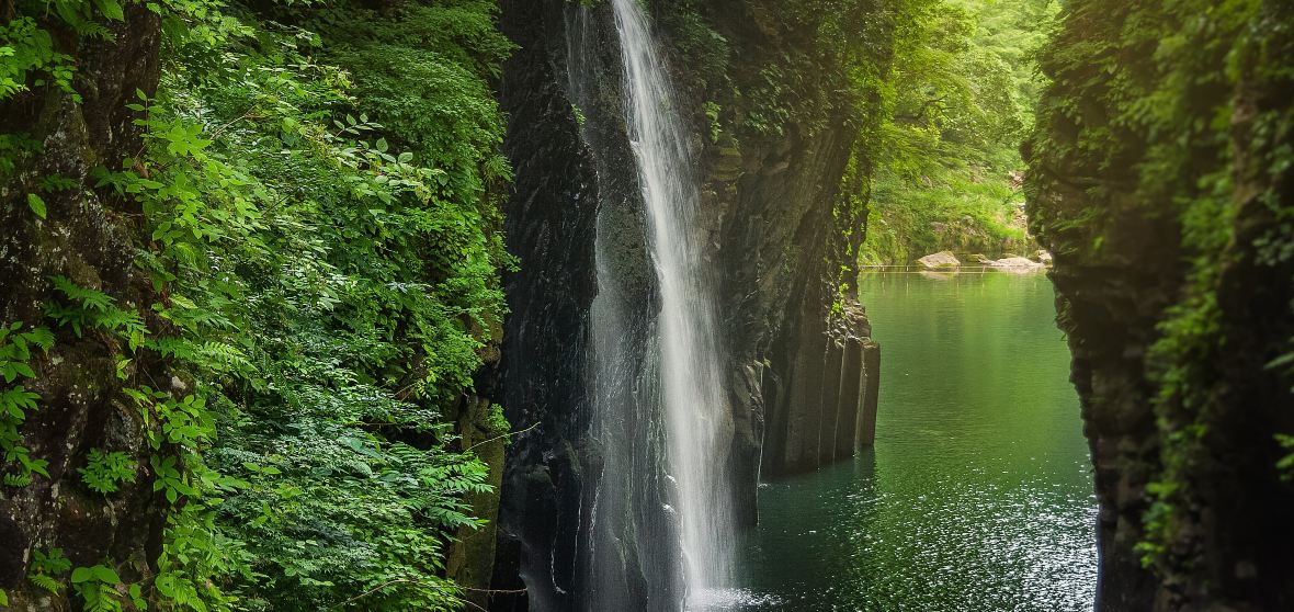 Aoshima's Hidden Japanese Garden - Miyazaki - Japan Travel