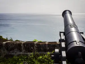 Fort George