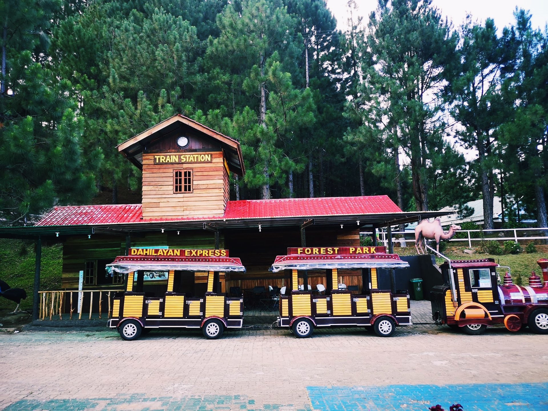 Manolo Fortich 2022 Top Things to Do Manolo Fortich Travel Guides