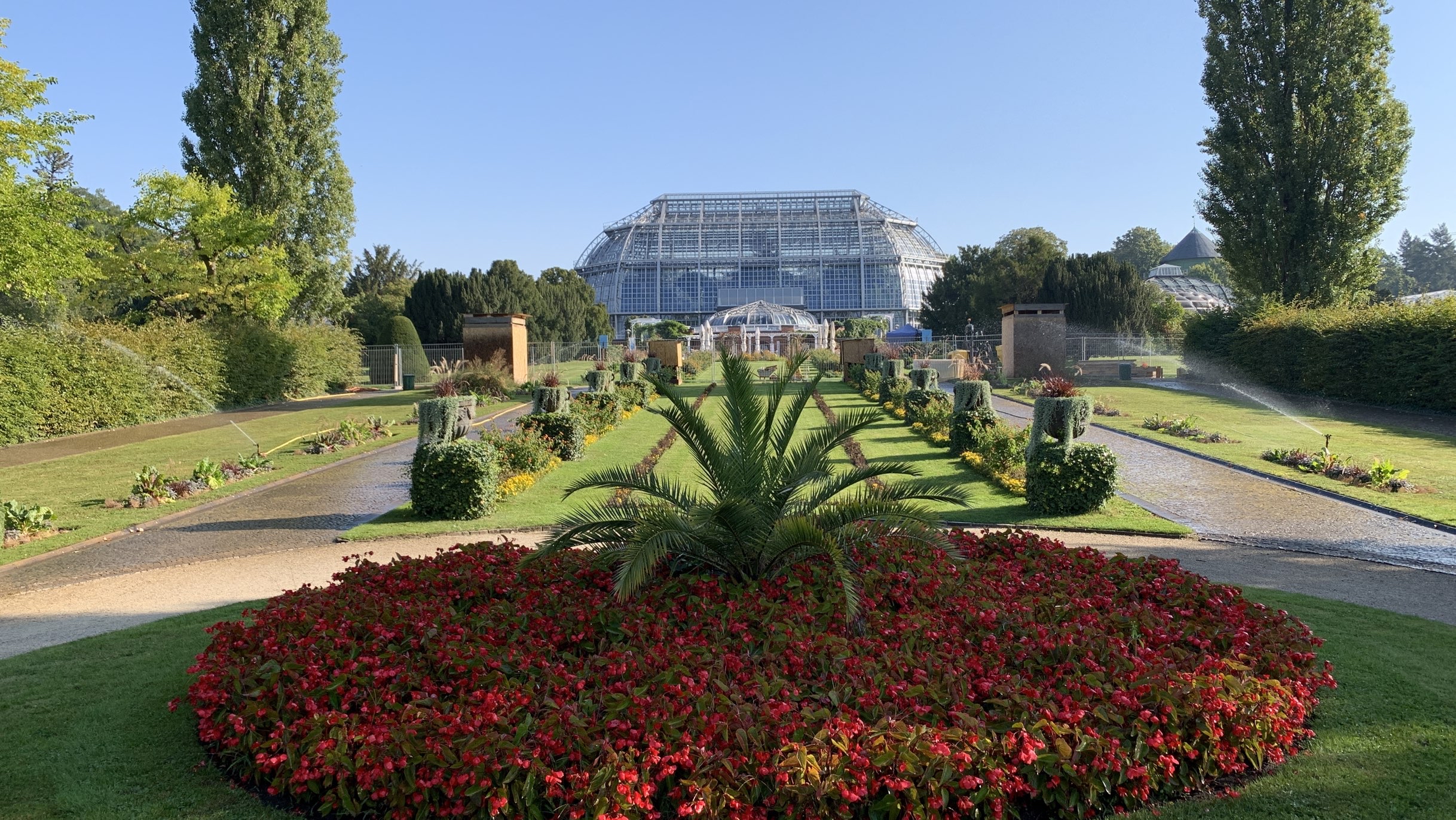 ベルリン ベルリン ダーレム植物園 評判 案内 トリップドットコム