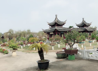 Longchuan Bonsai Art Garden