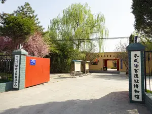 Qin Xianyang Palace Site Museum