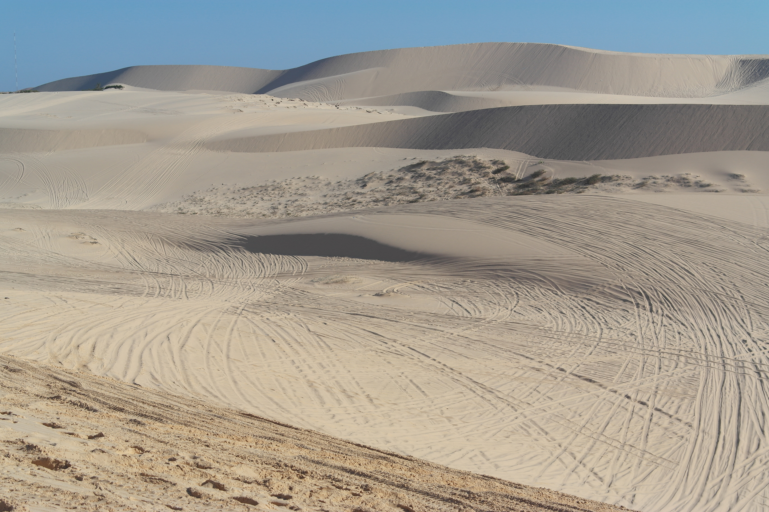 Desert with a river in middle of qatar