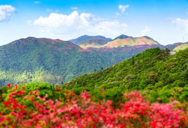 Dawei Mountain National Forest Park Popular Attractions Photos
