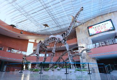 Heyuan City Museum (Heyuan Dinosaur Museum) Popular Attractions Photos