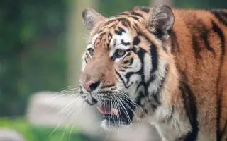 Best Things to Do Near Me | Attractions Near Me Best Things to Do Near Me | Attractions Near Me